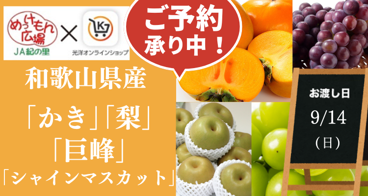 めっけもん広場(25/9/14(日)店頭お渡し) メインビジュアル画像