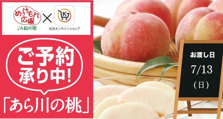 めっけもん広場(25/7/13(日)店頭お渡し) バナー画像