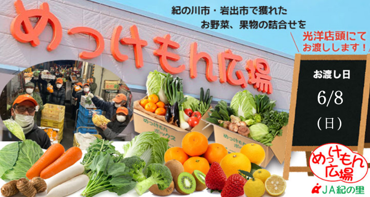 めっけもん広場(25/6/8(日)店頭お渡し) バナー画像