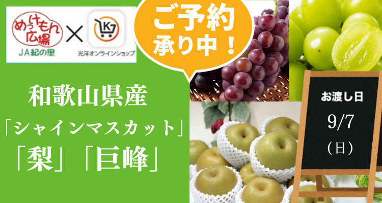 めっけもん広場(25/9/7(日)店頭お渡し) メインビジュアル画像
