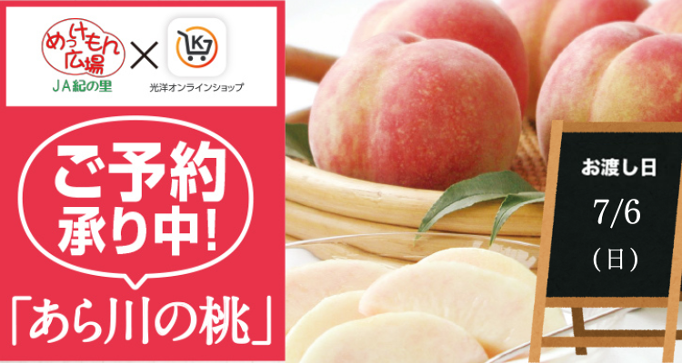 めっけもん広場(25/7/6(日)店頭お渡し) バナー画像
