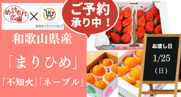 めっけもん広場(26/1/25(日)店頭お渡し) メインビジュアル画像