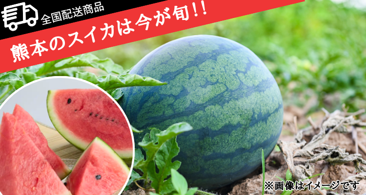 ５月が旬！熊本県産すいか(全国配送)【2025年】 バナー画像