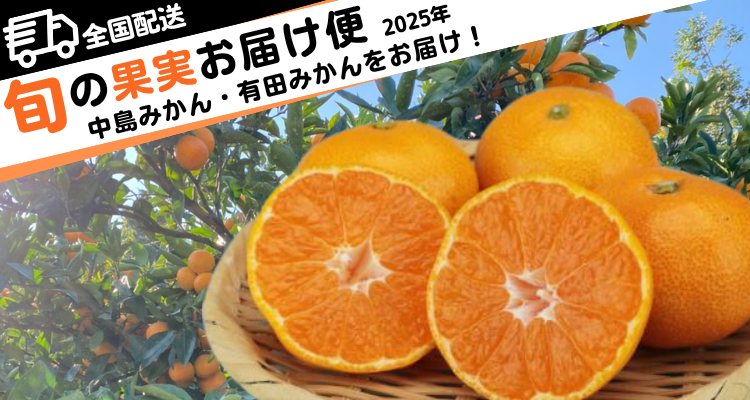 旬の果実お届け便(2025年みかん) メインビジュアル画像