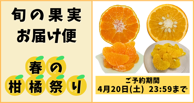 果実のお届け便(春の柑橘祭り【2024年】) バナー画像