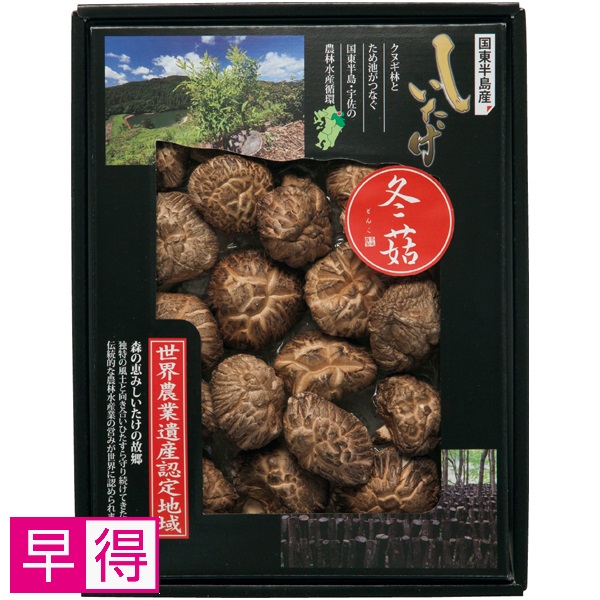 【早得】大分乾物 大分県国東半島産 どんこ椎茸 商品サムネイル